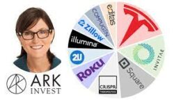 Ark invest Cathie Wood